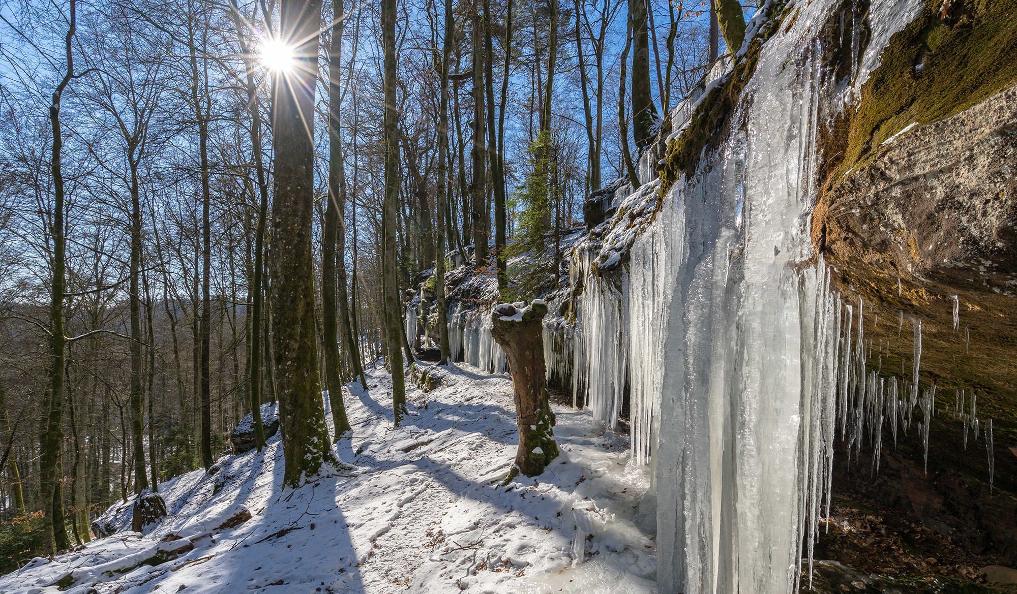 Premiumwanden M+H Verlag Saarbrücken Saarland Pfalz Pfälzerwald